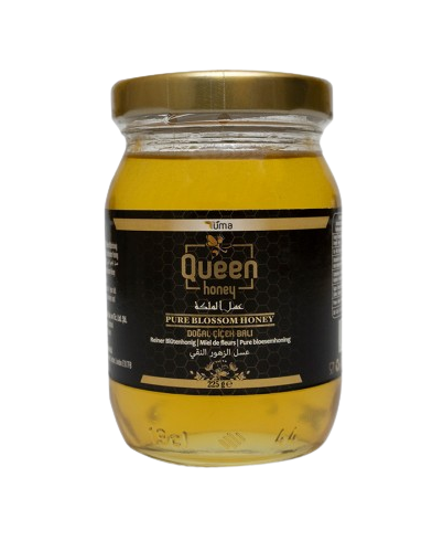 [NO SKU] Pure Blossom Honey 12 x 225g Queen